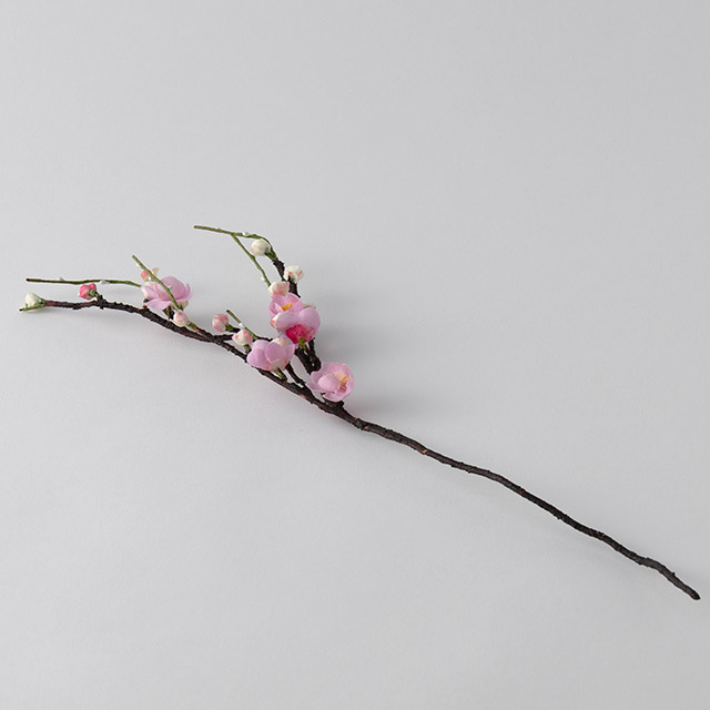 梅の花　ロング（ピンク）