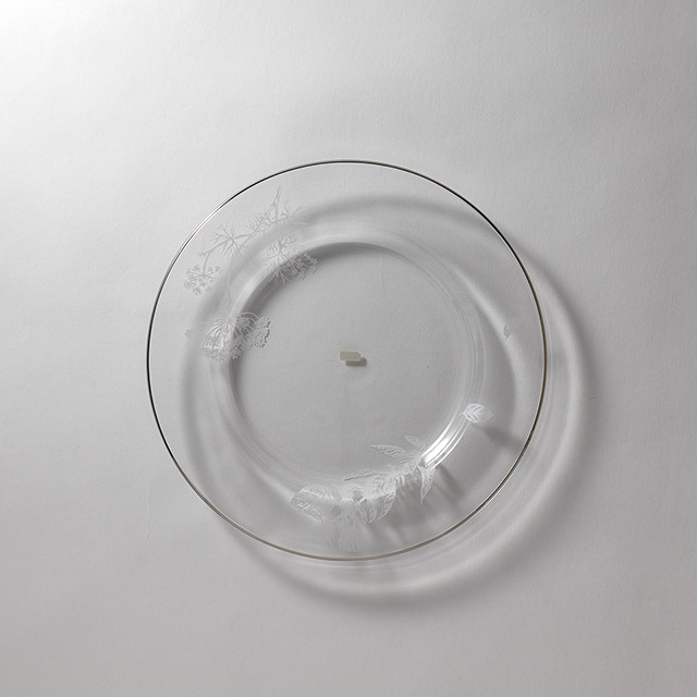 ギャラクシーブランチプレートL