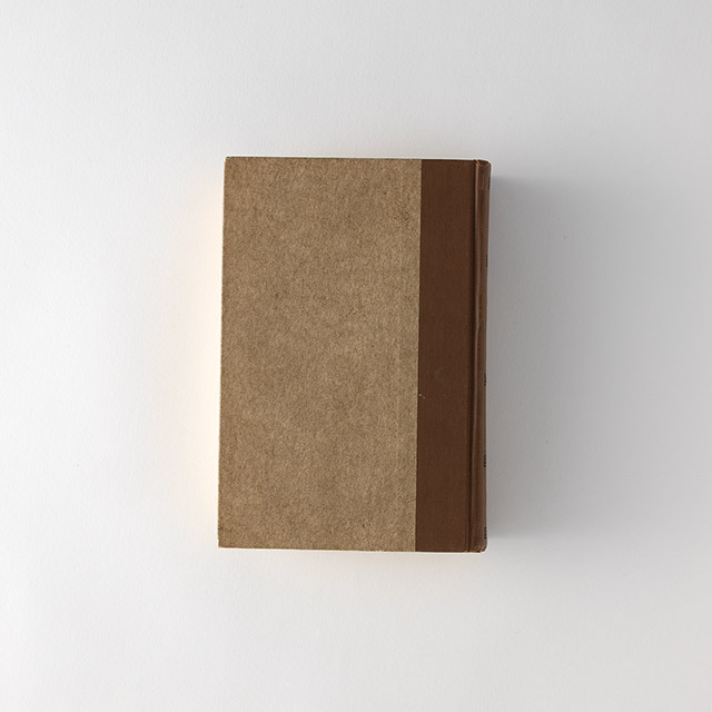 洋書 CROWN OF MEXICO