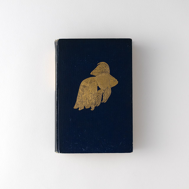 洋医学書 ゴールドフィッシュ