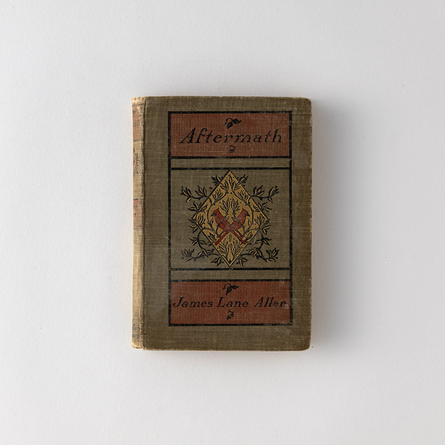 洋書　アンティークAftermath　鳥