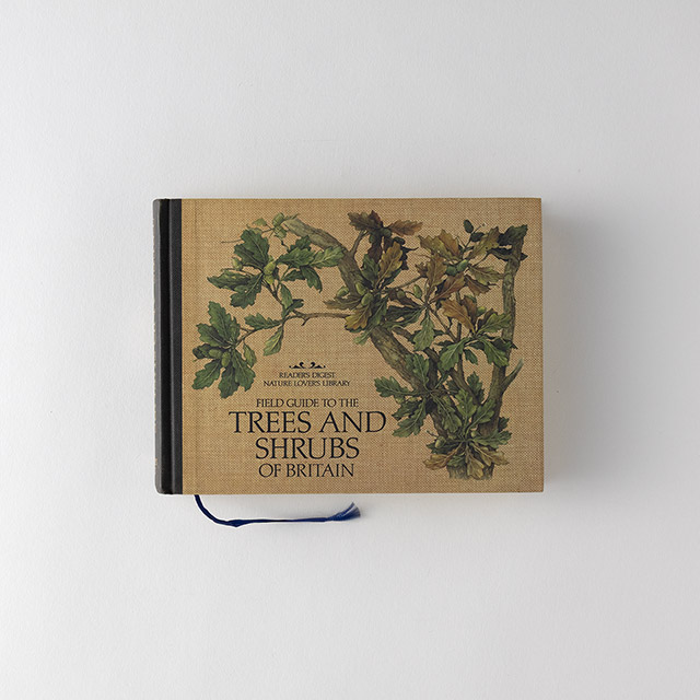 洋書 Trees & Shrubs