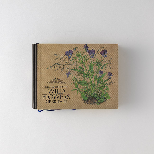 洋書 WILD FLOWERS OF BRITAIN