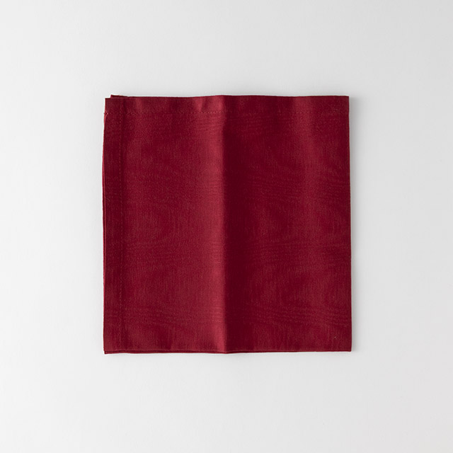 ナプキン エンジ