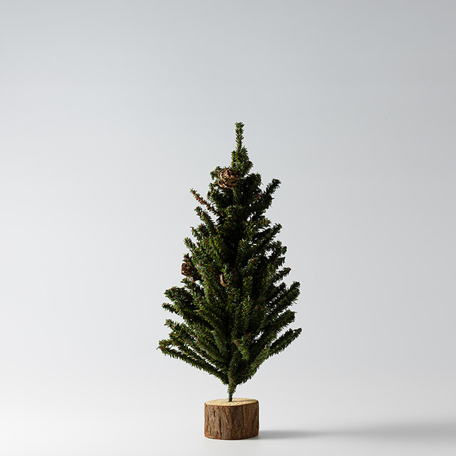 クリスマスツリー 台切株 H35