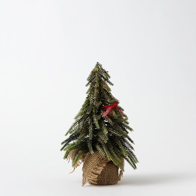 X'mas　ジュトラッピング　ツリー27