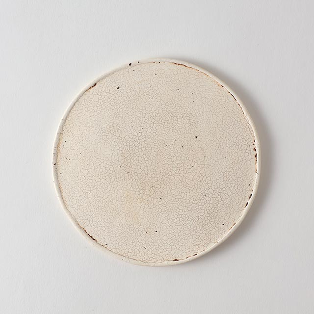 橋本忍 フラットプレート mini 13