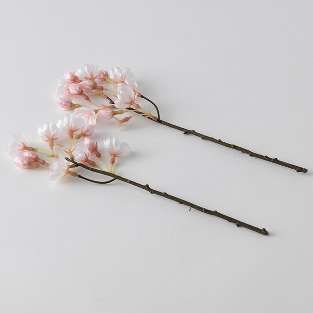 薄ピンク　桜ショート　24cm 2本セット