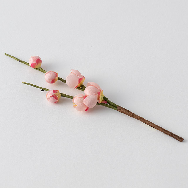 祝 ピンクの梅ミニ