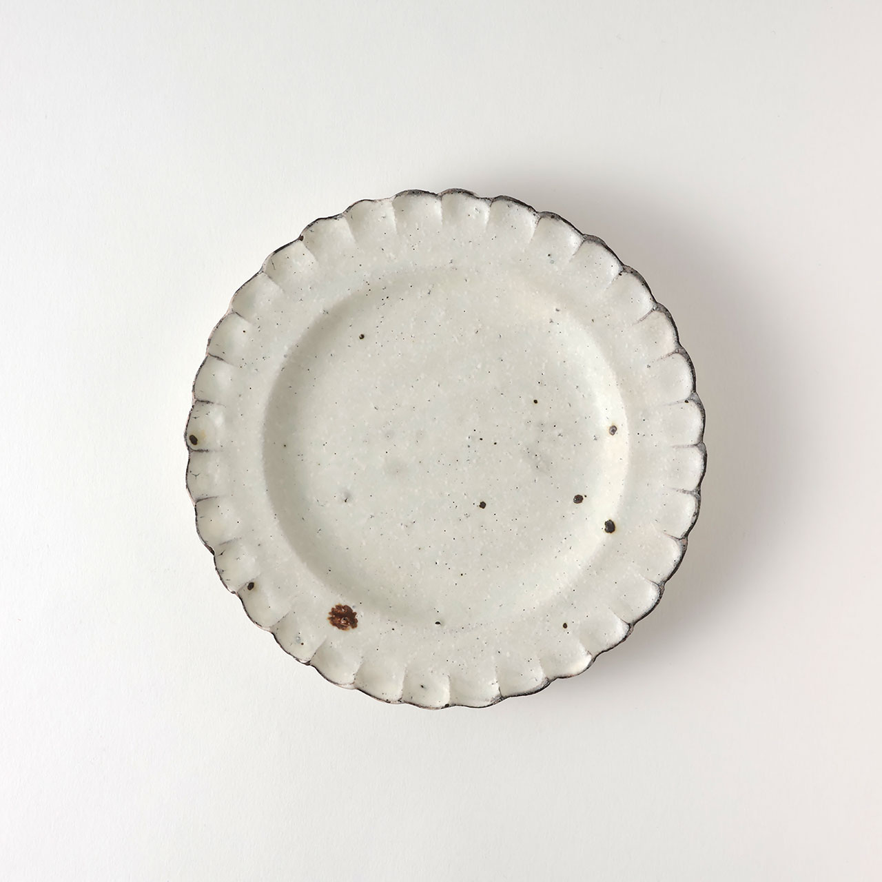 白井隆仁　shiromoegi花丸皿18