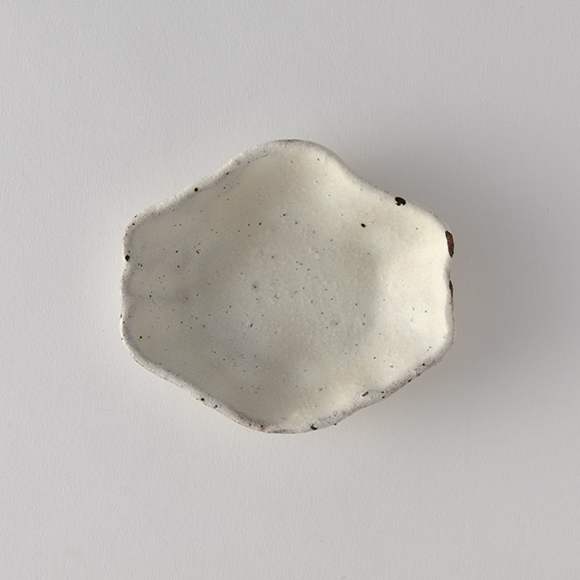 白井隆仁 shiromoegiオーバル小皿