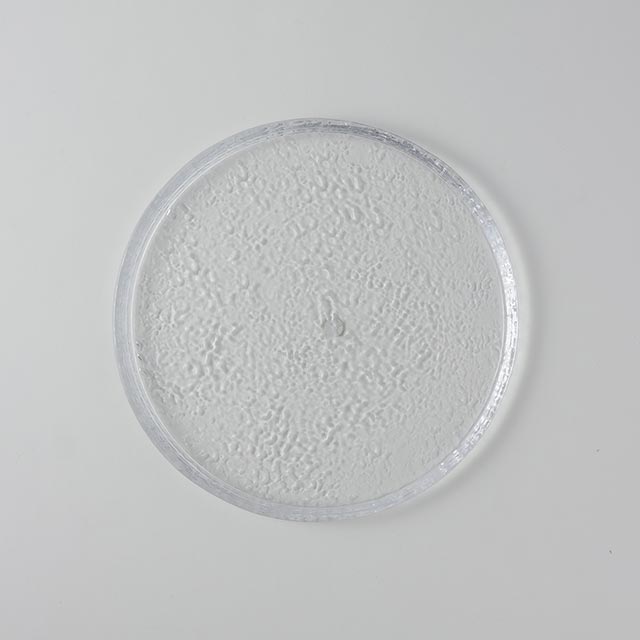 ガラス 丸うたかた皿19.5