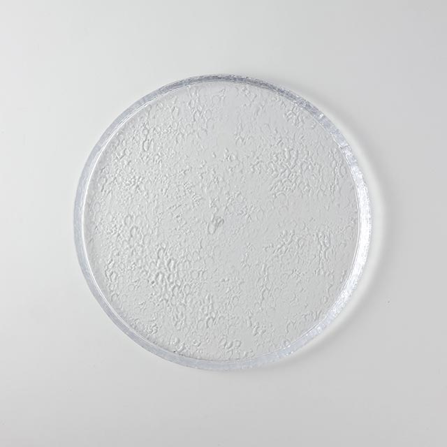 ガラス 丸うたかた皿24