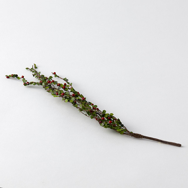 ドライ 赤い実 ミニ