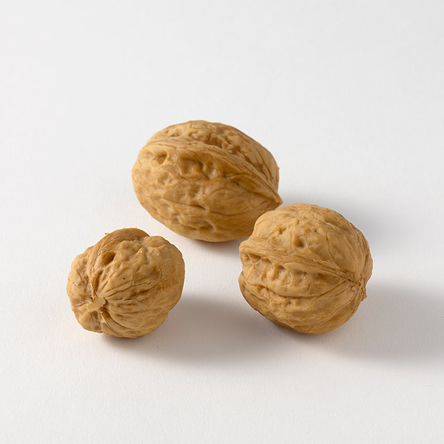 フェイクフード くるみ 3個セット