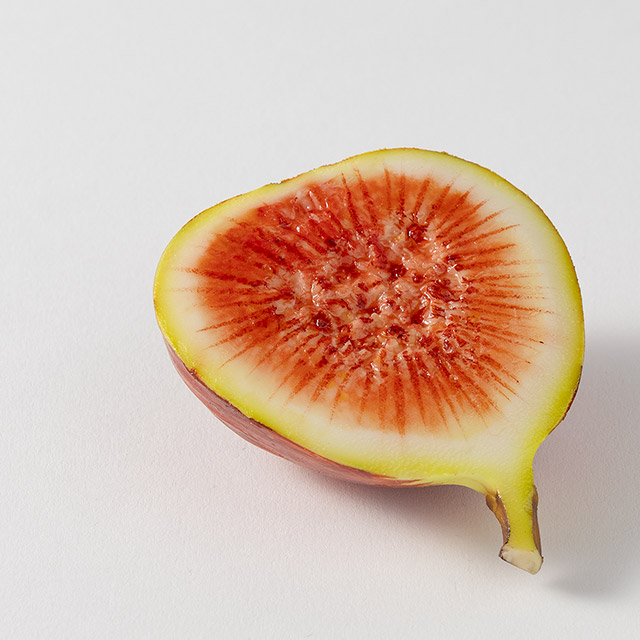 フェイクフード いちじく 縦切り