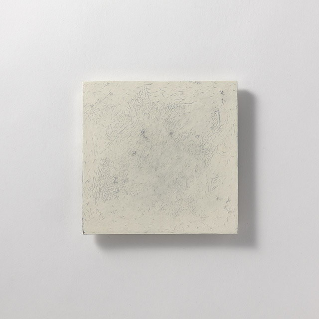 横山拓也　角板皿　中　白