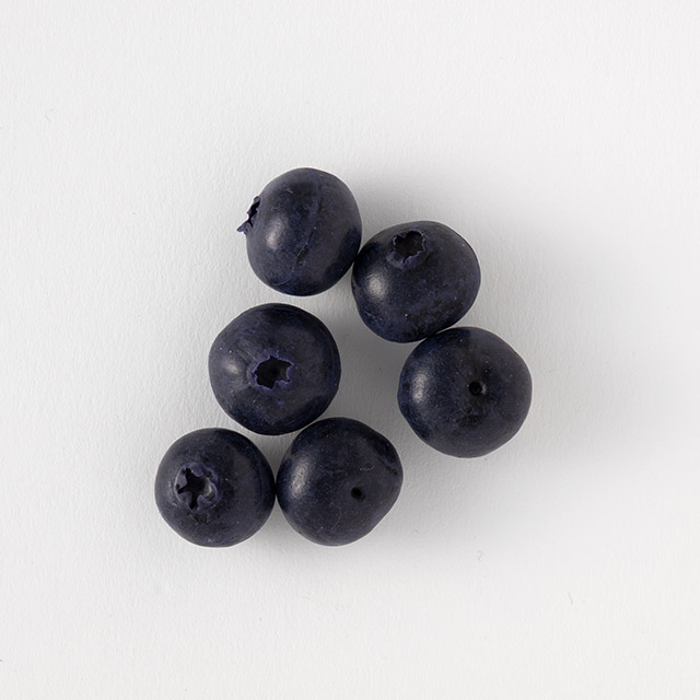 フェイクフード　ブルーベリー　6個セット