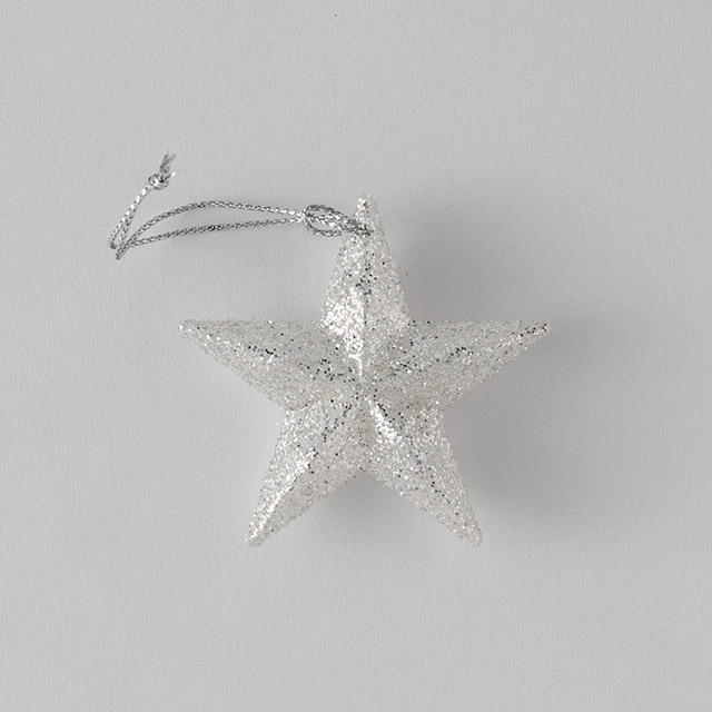 グランミニスターオーナメント　シルバー