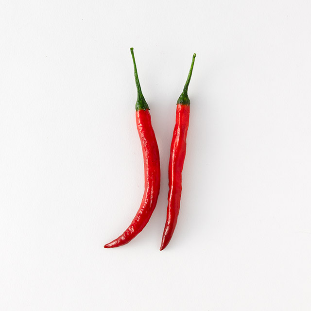 フェイクフード　赤トウガラシ　2本セット