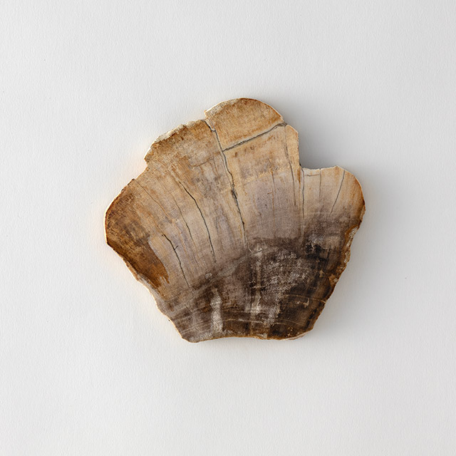 珪化木トレイ／コースター　ナチュラル（A）