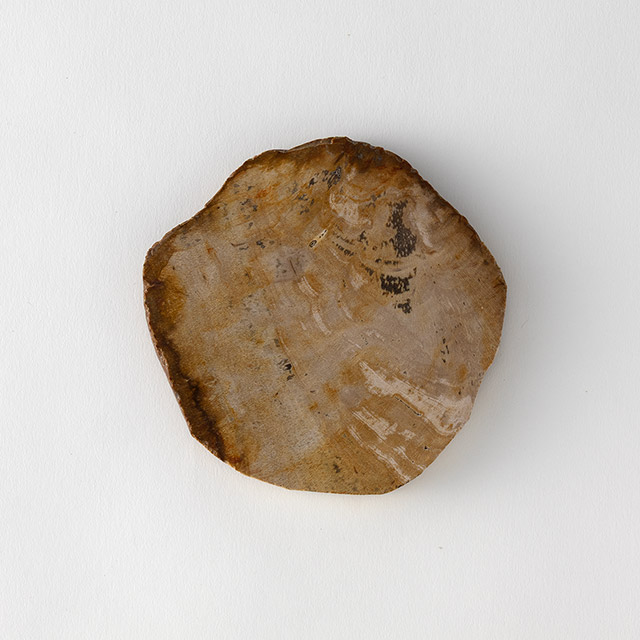 珪化木トレイ/コースター ナチュラル(B)