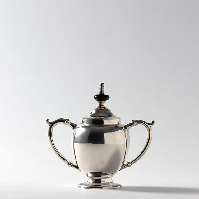 パラ シルバーシュガー