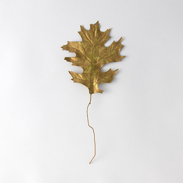 ゴールド ヒイラギ 枝