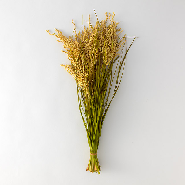 アートフラワー 稲穂 束
