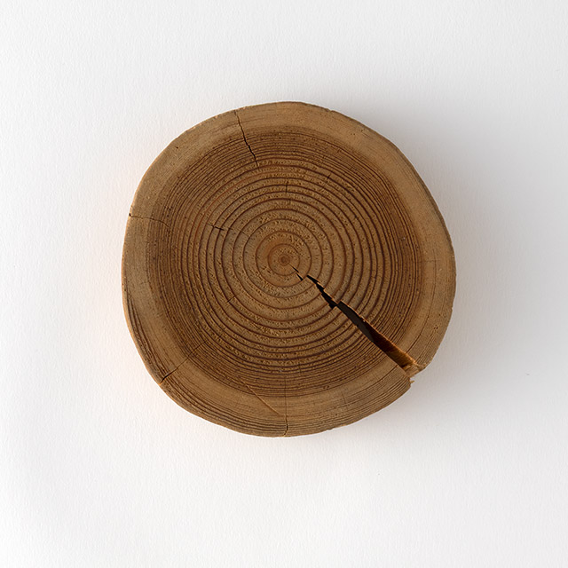 木の輪切りプレート 11cm