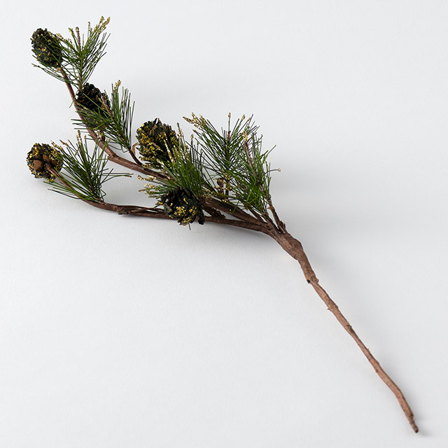 枝　松／ゴールド　松ぼっくり