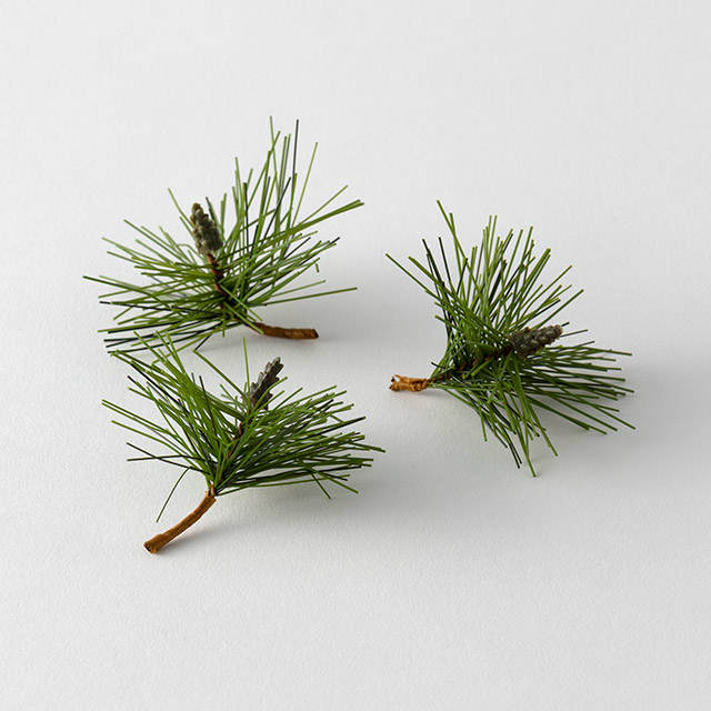 松葉の房 3個セット