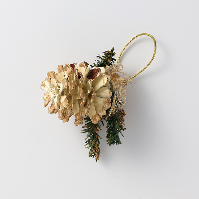 カラー松ぼっくり 白