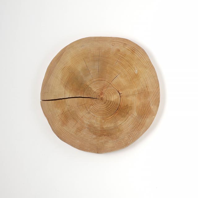 まな板 丸(厚)輪切り