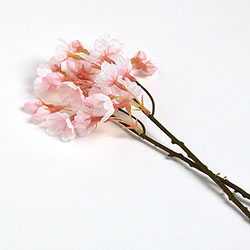 薄ピンク　桜ショート　24cm 2本セット