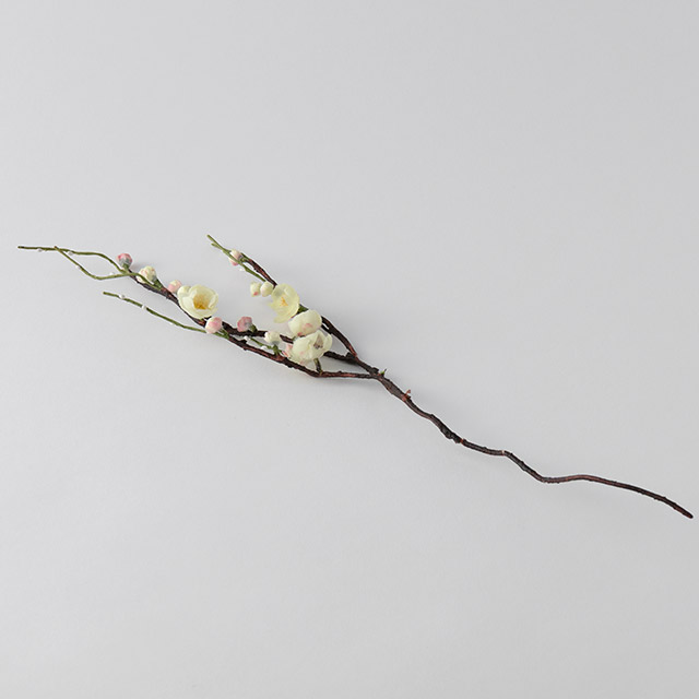 梅の花　ロング（黄）