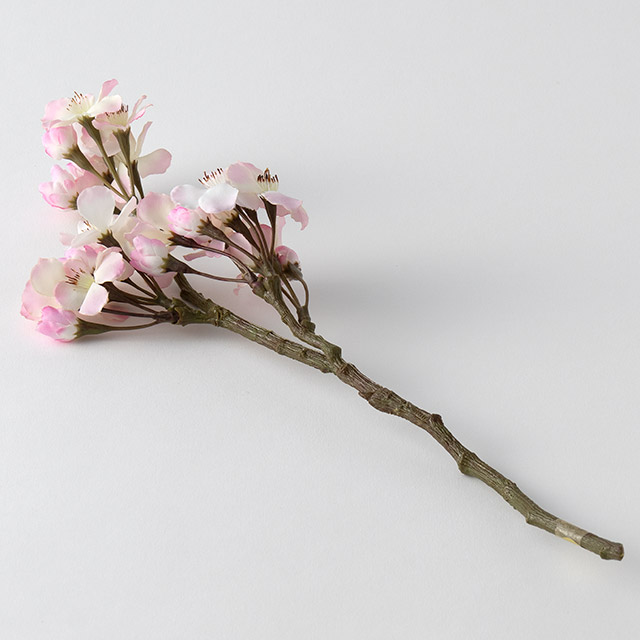 薄紅の桜　Pink 37cm