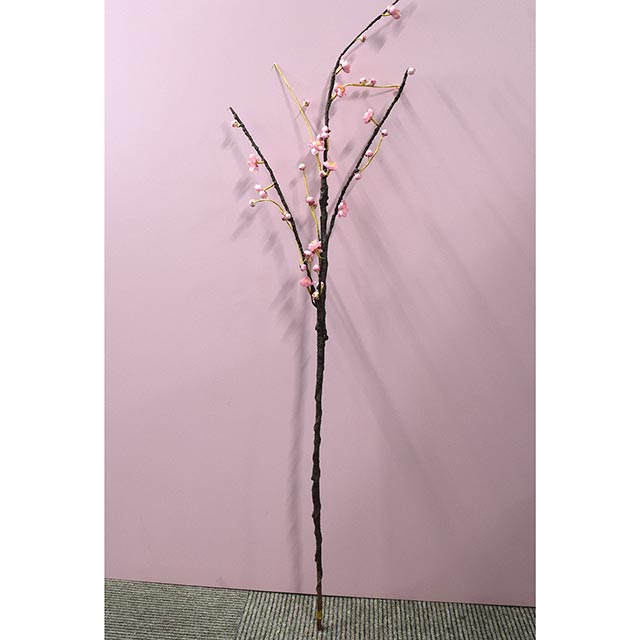 枝　梅　ロング