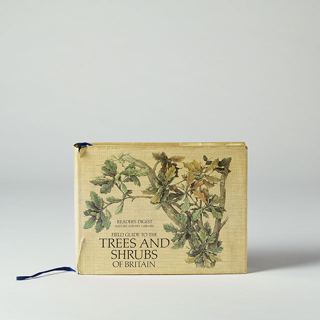 洋書　Trees & Shrubs