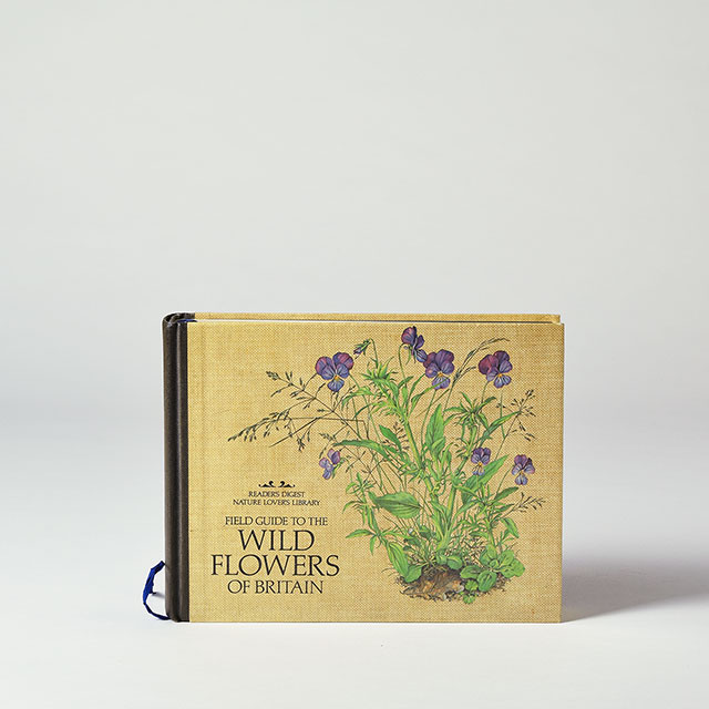 洋書　WILD FLOWERS OF BRITAIN