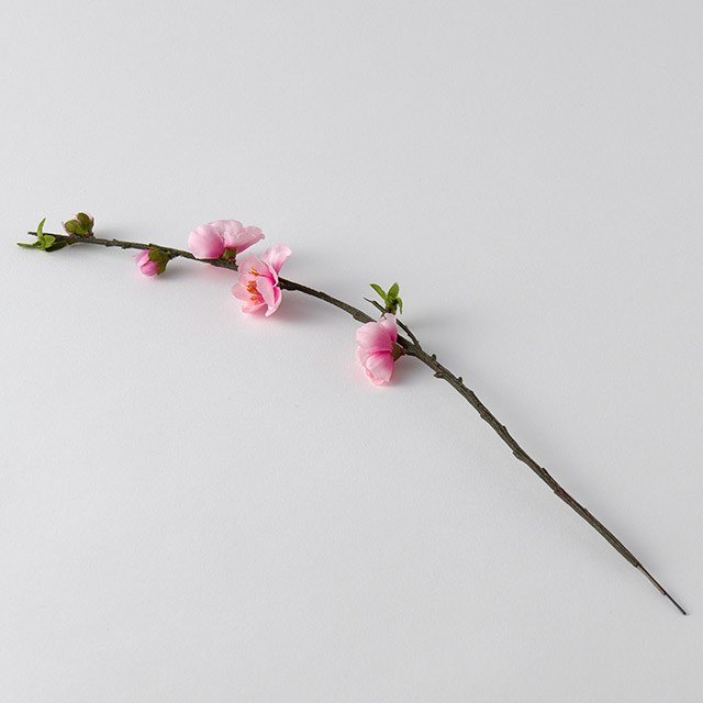 桃の花　枝１　薄ピンク